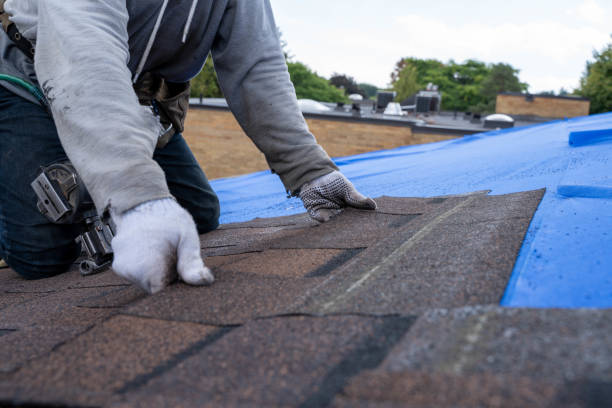 Best Commercial Roofing Services  in Reese, MI