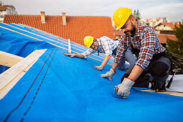 Best Storm Damage Roof Repair  in Reese, MI