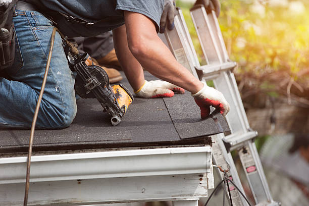 Best Storm Damage Roof Repair  in Reese, MI