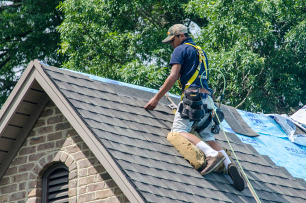 Best Residential Roofing Contractor  in Reese, MI